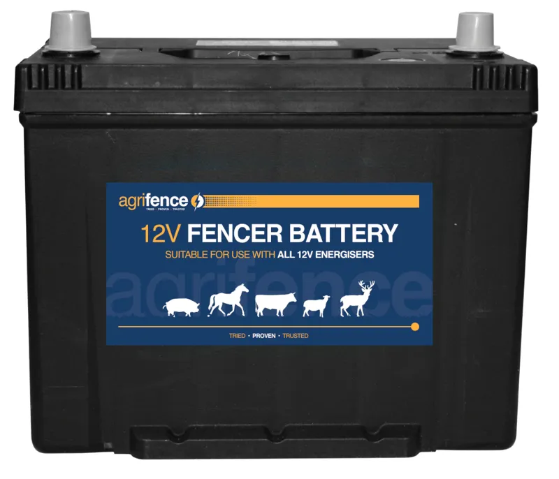 Agrifence Rechargeable Fencer/Leisure Battery 12v